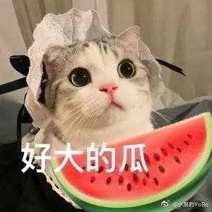 网红在线吃瓜的意义